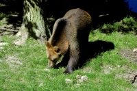 Leider könne Sie mich heute nicht besuchen, aber vielleicht bald wieder!